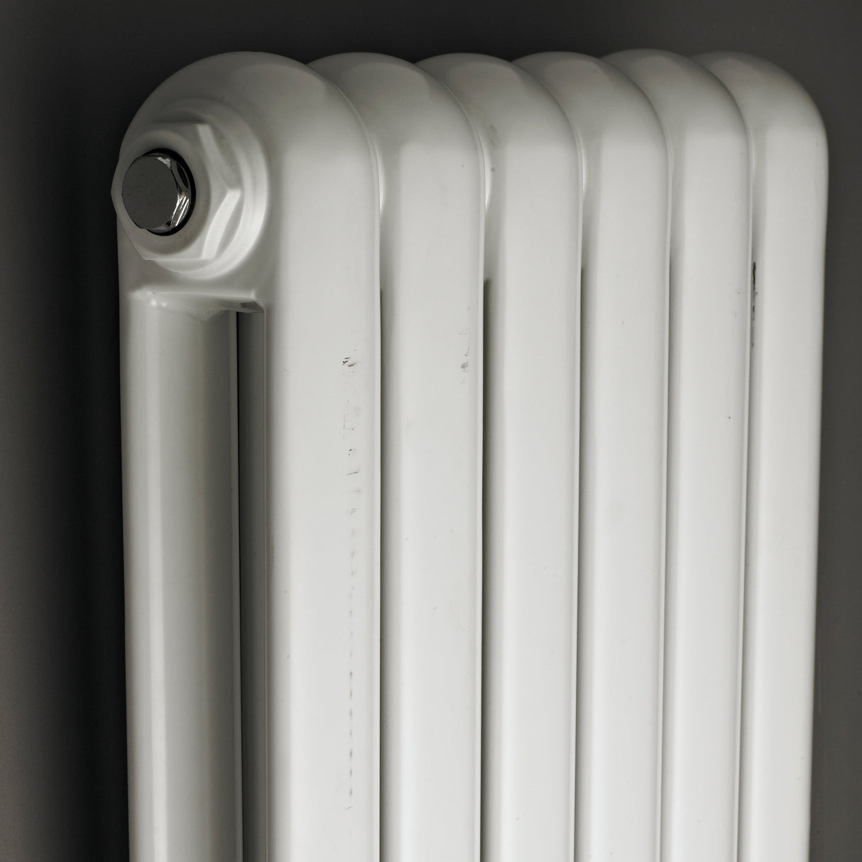 Salvia Radiator Gloss White