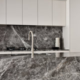Meir Piccola Pull-Out Single Lever Kitchen Mixer Tap Brushed Nickel MK17-PVDBN LS2