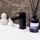 Ellsi Lanza Mono Basin Mixer Tap MATT BLACK LAN-01-MB LS1
