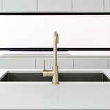 Meir Square Neck Single Lever Kitchen Mixer Tap Brushed Nickel MK02-PVDBN LS3