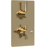 Hudson Reed Tec Pura 2 Outlet Thermostatic Concealed Shower Valve With Diverter Brushed Brass A8007