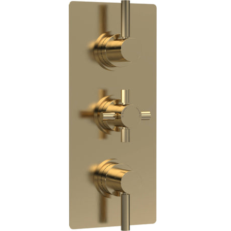 Hudson Reed Tec Pura 3 Outlet Thermostatic Concealed Shower Valve With Diverter Brushed Brass A8023