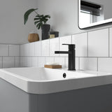 Nuie Arvan Mono Basin Mixer Tap with Waste Matt Black ARV405 LS