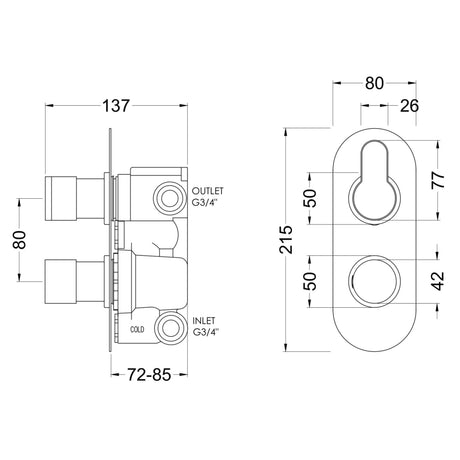 Nuie Arvan 2 Outlet Thermostatic Concealed Shower Valve With Diverter Brushed Pewter ARV7TW02 LD