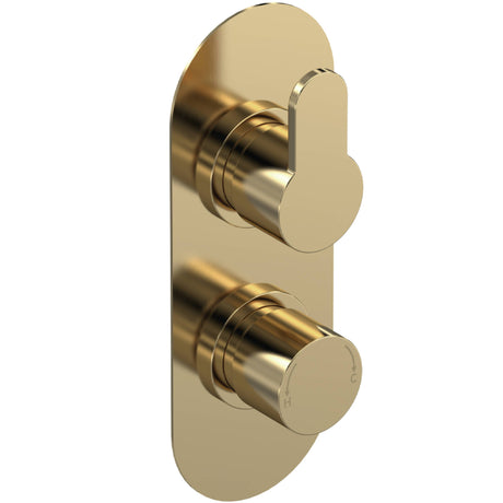 Nuie Arvan 2 Outlet Thermostatic Concealed Shower Valve With Diverter Brushed Brass ARV8TW02