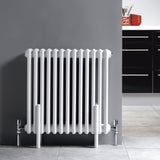 Nuie Colosseum Horizontal Column Radiator Gloss White HX304 LS