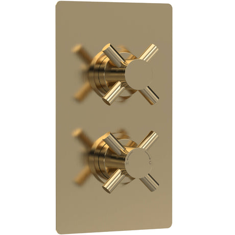 Hudson Reed Tec Crosshead 2 Outlet Thermostatic Concealed Shower Valve With Diverter Brushed Brass KRI8207
