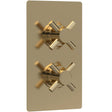 Hudson Reed Tec Crosshead 1 Outlet Thermostatic Concealed Shower Valve Brushed Brass KRI8210