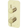 Meir 1 Outlet Thermostatic Concealed Shower Valve - Tiger Bronze MTV11-SET-PVDBB