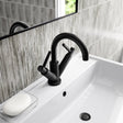 Hudson Reed Tec Lever Mono Basin Mixer Tap & Waste Matt Black TEL415 LS
