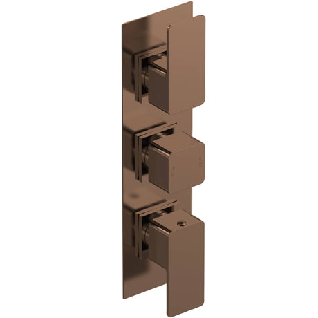 Nuie Windon 2 Outlet Thermostatic Concealed Shower Valve Brushed Bronze WIN15TR02