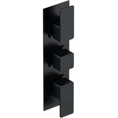 Nuie Windon 2 Outlet Thermostatic Concealed Shower Valve Matt Black WIN4TR02