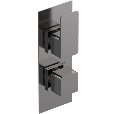 Nuie Windon 2 Outlet Thermostatic Concealed Shower Valve With Diverter Brushed Pewter WIN7TW02
