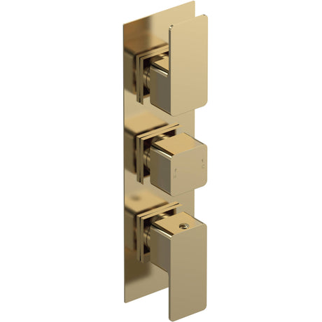 Nuie Windon 3 Outlet Thermostatic Concealed Shower Valve With Diverter Brushed Brass WIN8TR03