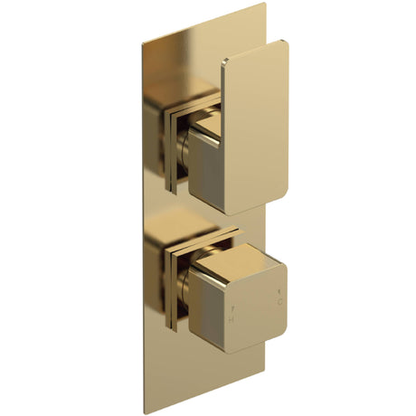 Nuie Windon 2 Outlet Thermostatic Concealed Shower Valve With Diverter Brushed Brass WIN8TW02