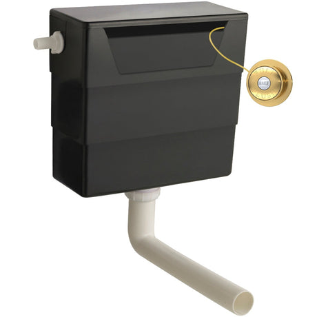 Nuie Top and Front Access Dual Flush Concealed Cistern with Traditional Round Button, Side Inlet Brushed Brass XTY6T03